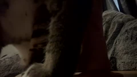 Snapshot of see_rowen_play chatting on November 30, 4:11 pm Lexxisse online show from November 30, 4:11 pm