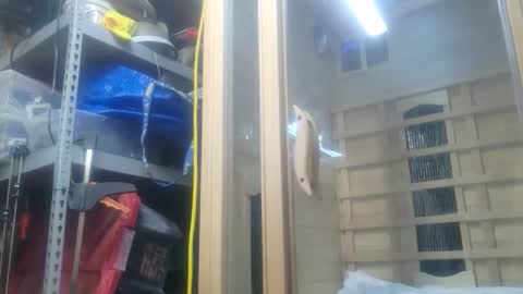 Snapshot of seeker404 chatting on October 26, 11:09 pm Seeker online show from October 26, 11:09 pm