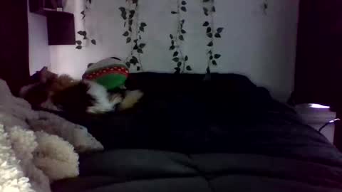 Lauren online show from April 22, 9:16 pm