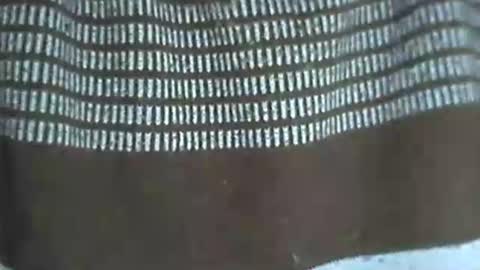 selim selim online show from November 14, 10:18 pm