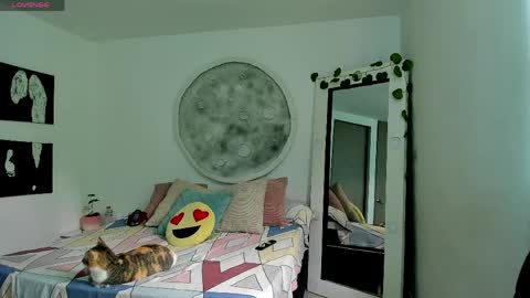 Selyn online show from April 6, 2:51 pm