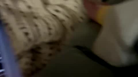 Snapshot of senecathestoic25 chatting on February 9, 3:54 am senecathestoic25 online show from February 9, 3:54 am