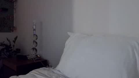 Cam online show from November 29, 1:08 am