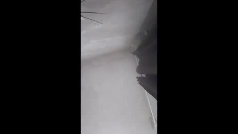 sergiobianchi977 online show from April 22, 1:19 am