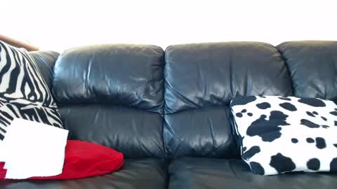 sex_gaming online show from May 24, 1:49 pm