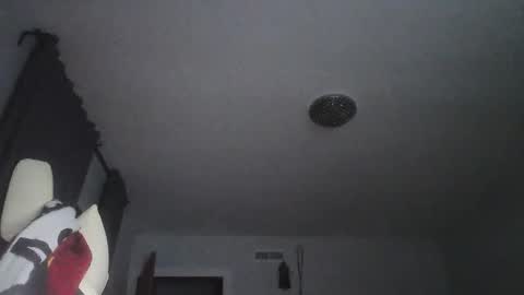 Snapshot of sexbrute chatting on May 17, 1:03 am sexbrute online show from May 17, 1:03 am