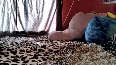 sexiwhiskey699 online show from February 21, 10:33 pm