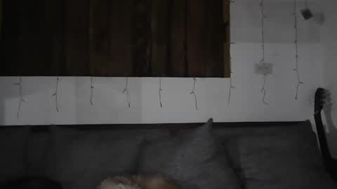 Trixy Rose online show from January 11, 5:41 am