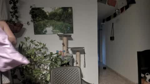         online show from April 10, 11:04 am