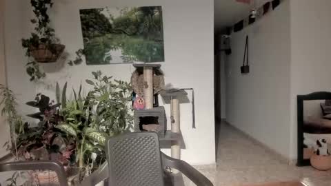         online show from April 21, 11:29 pm