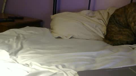 Snapshot of sexxxylibra10 chatting on April 25, 7:55 pm sexxxylibra10 online show from April 25, 7:55 pm