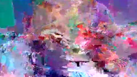 sexxycotton online show from April 10, 7:24 am