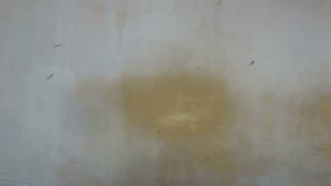 sexy_candy9 online show from November 11, 9:53 am