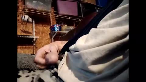    RICHY    online show from November 1, 1:57 pm