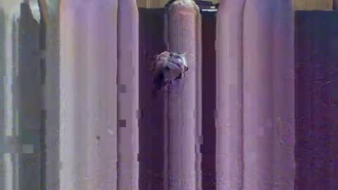 Snapshot of sexybeast_2 chatting on September 9, 11:43 am sexybeast_2 online show from September 9, 11:43 am