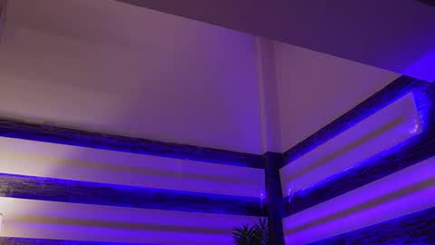 Celline online show from November 27, 5:09 am