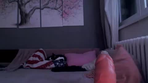 Snapshot of sexyella25 chatting on January 29, 11:56 pm     .... ............ Onlyfans   online show from January 29, 11:56 pm