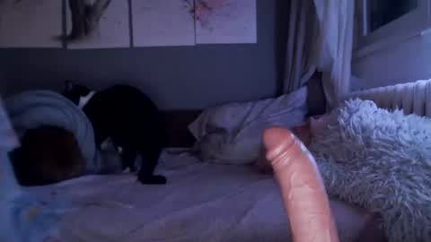 Snapshot of sexyella25 chatting on February 21, 10:04 pm     .... ............ Onlyfans   online show from February 21, 10:04 pm