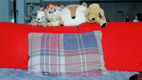 Snapshot of sexyfoxyari chatting on October 5, 5:33 pm Ari online show from October 5, 5:33 pm