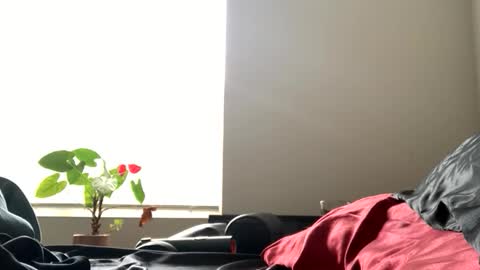 Snapshot of sexyhornyman1993 chatting on June 2, 5:59 pm sexyhornyman1993 online show from June 2, 5:59 pm