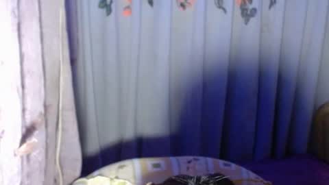 Snapshot of sexykagura chatting on May 22, 4:56 pm Kagura3 online show from May 22, 4:56 pm