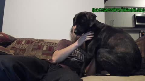 Sexymountainman420 online show from December 24, 7:06 am