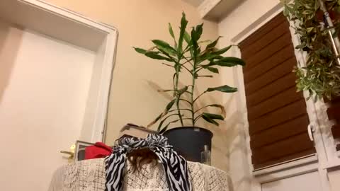 Snapshot of sexysexydream chatting on January 22, 8:17 pm Anya online show from January 22, 8:17 pm