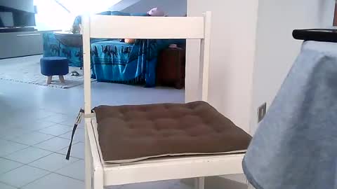 sexzob_81 online show from July 28, 5:25 am