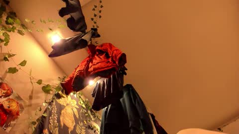 Snapshot of shadow_raffi chatting on November 7, 3:50 am shadow_raffi online show from November 7, 3:50 am