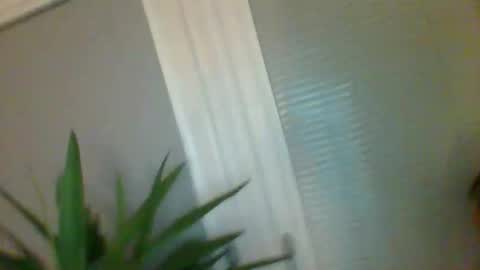 Snapshot of shagnasty69598568 chatting on December 15, 6:50 am shagnasty69598568 online show from December 15, 6:50 am