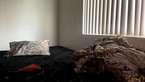 Shaman Woman online show from December 25, 8:07 pm