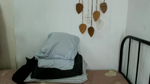 Snapshot of shanegreents chatting on June 22, 4:31 am bini aiah online show from June 22, 4:31 am