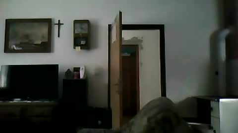 Snapshot of shaomy711 chatting on January 6, 1:19 pm excelo21 online show from January 6, 1:19 pm