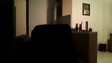 Snapshot of shaomy711 chatting on January 15, 6:51 pm excelo21 online show from January 15, 6:51 pm