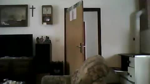 Snapshot of shaomy711 chatting on January 19, 11:56 am excelo21 online show from January 19, 11:56 am