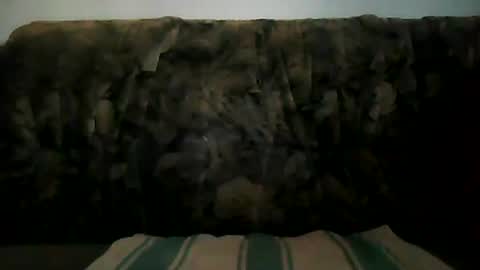 Snapshot of shaomy711 chatting on January 19, 2:59 pm excelo21 online show from January 19, 2:59 pm