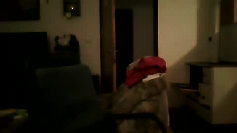 Snapshot of shaomy711 chatting on January 25, 6:02 pm excelo21 online show from January 25, 6:02 pm