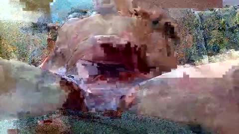 Snapshot of shaomy711 chatting on October 26, 7:14 am excelo21 online show from October 26, 7:14 am