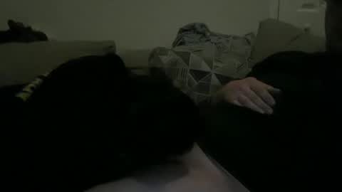 sharedhus online show from January 13, 6:16 am