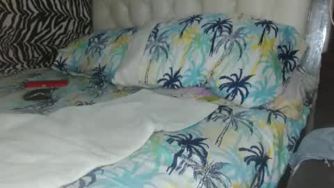 Snapshot of sharlot03 chatting on February 24, 11:21 am sharlot03 online show from February 24, 11:21 am