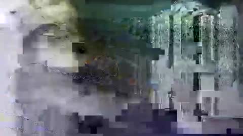 Snapshot of shashee870242 chatting on February 14, 5:25 pm Shashee870242 online show from February 14, 5:25 pm