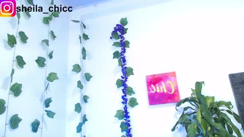 SHEILA  online show from December 9, 10:52 pm