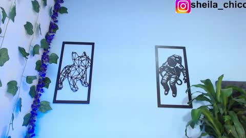 SHEILA  online show from February 26, 2:25 pm