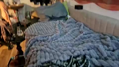 sheilasub online show from December 16, 11:48 am