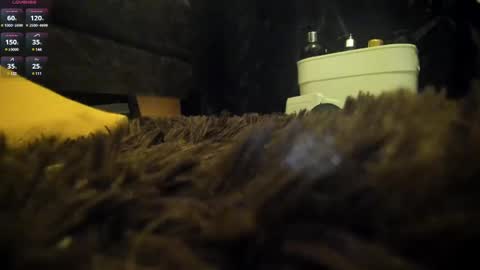 Snapshot of shinigamidoll chatting on March 7, 2:15 am Shinigamidoll see you soon online show from March 7, 2:15 am