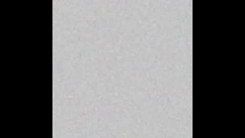 Snapshot of shiningstarrr chatting on December 29, 12:23 pm Nika online show from December 29, 12:23 pm