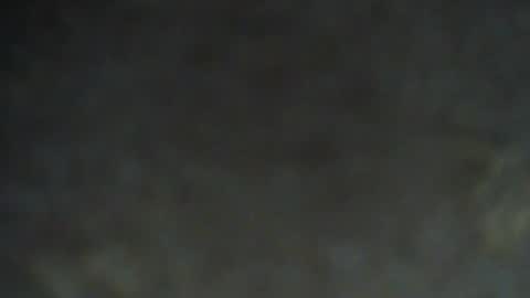Snapshot of shinshin1177 chatting on July 3, 7:53 pm shinshin1177 online show from July 3, 7:53 pm