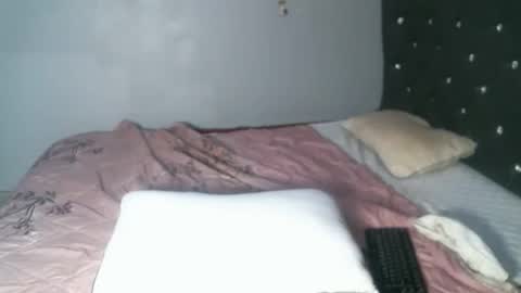 Snapshot of shiro254 chatting on September 15, 11:54 am Shi-ro online show from September 15, 11:54 am