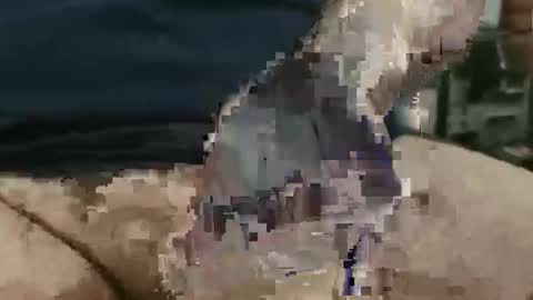 showsme online show from September 22, 12:07 pm