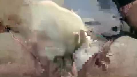 showsme online show from October 28, 10:52 am